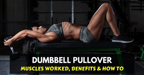 Dumbbell Pullover: Muscles Worked, Benefits & How To