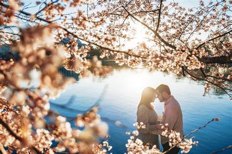 Cherry Blossom Photoshoot Tips | Capturing the Beauty of Spring