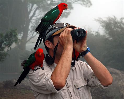 The 8 Best Bird Watching Binoculars