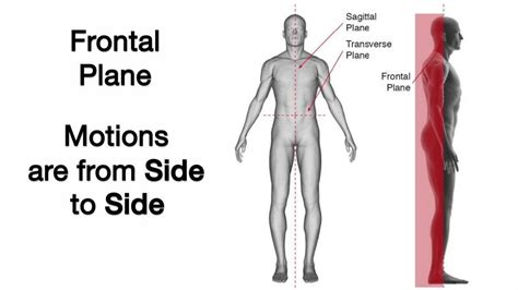 3. Frontal Plane - YouTube