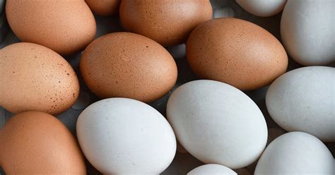 Duck Eggs vs. Chicken Eggs: Nutrition, Benefits, and More