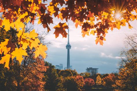 Best Places to See Fall Colours in Toronto | Destination Toronto