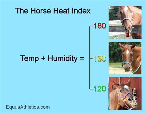 Summer, Horses, and Heat Stress | The Horse Heat Index - Equus Athletics