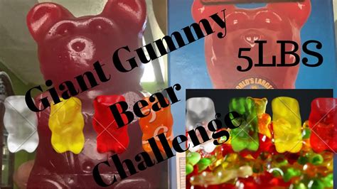 Giant Gummy Bear Challenge(5LBS) - YouTube