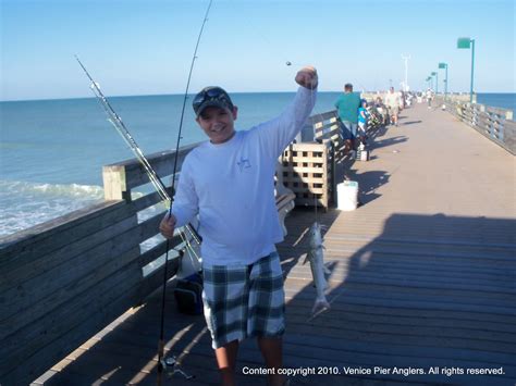 On the Boards in Venice Florida: Venice Pier Fishing Tournament, Venice ...