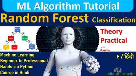 Random Forest Classification Algorithm Explain with Project