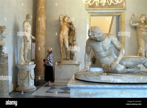 The Dying Gaul sculpture in the Palazzo Nuovo at the Capitoline Stock ...