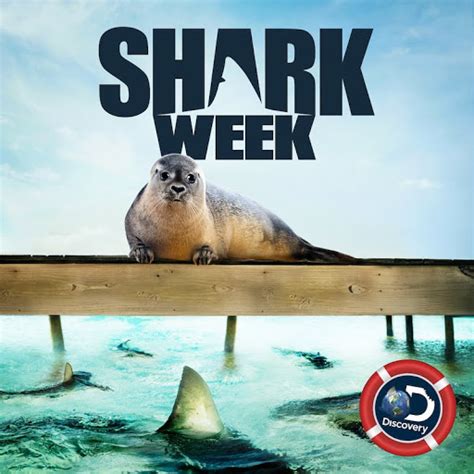 Shark Week - TV on Google Play