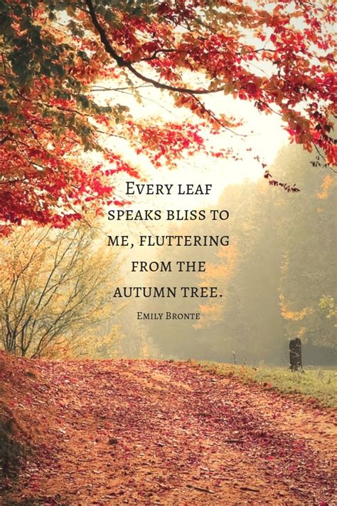 Autumn Love Poems And Quotes - ShortQuotes.cc