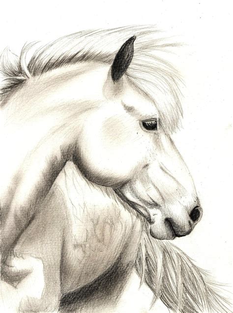 Realistic Horse Sketch by jennypip on DeviantArt