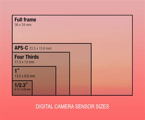 In Defense of Small-Sensor Cameras for Live Events and ENG Work | B&H ...