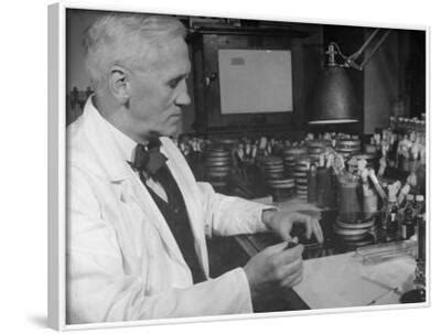 'Prof. Alexander Fleming Working in Laboratory' Photographic Print ...