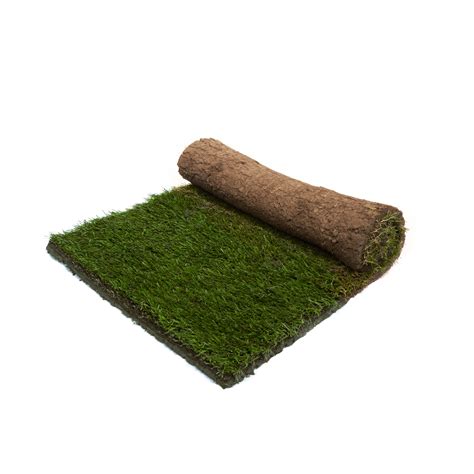 Pro Turf Premium Tall Fescue Sod - Professional Turf Growers