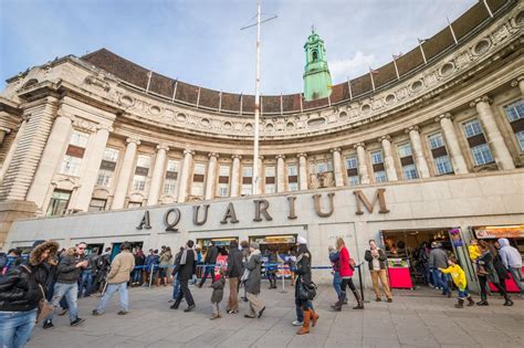 Sea Life London Aquarium on AboutBritain.com