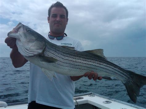 massachusetts striper fishing | Cape Cod Fishing Charters