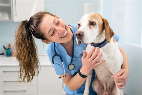 What Do Vet Techs Do? A Deep Dive - DaySmart Vet