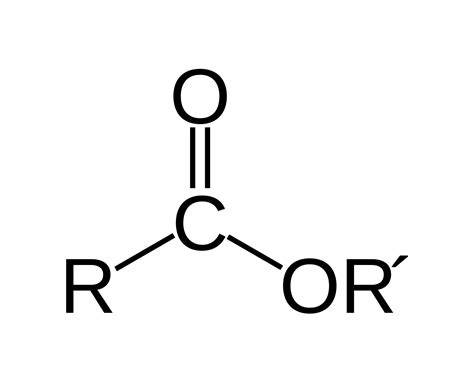 What Is an Ester in Chemistry?