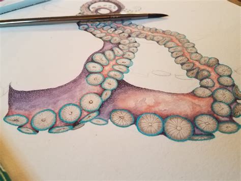 Watercolor Octopus Painting Progress