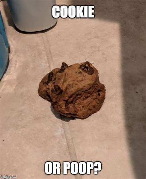 Chocolate chip cookie or poop? - 9GAG