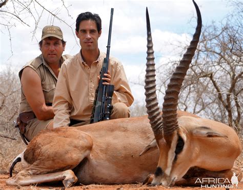 Grant's Gazelle Pictures | AfricaHunting.com