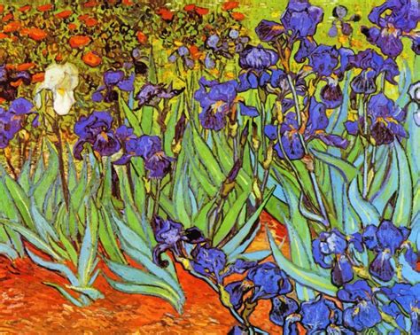 Irises Vincent Van Gogh - Paint By Numbers - Num Paint Kit