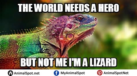 Lizard Memes