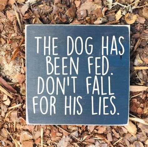 Pin by judy on Signs | Funny dog signs, Dog signs, Funny dogs