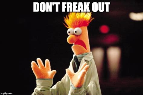 Beaker Freak Out Memes - Imgflip