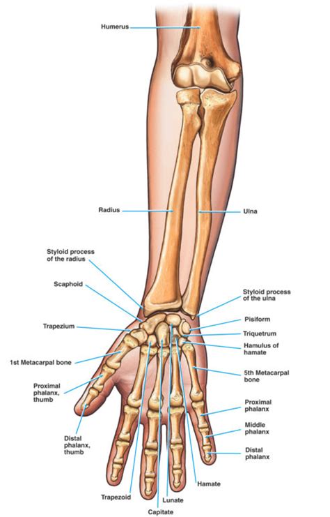 Common Causes of Finger Stiffness - The Orthopaedic Institute