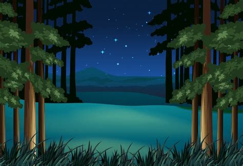 Premium Vector | Forest scene at night with stars