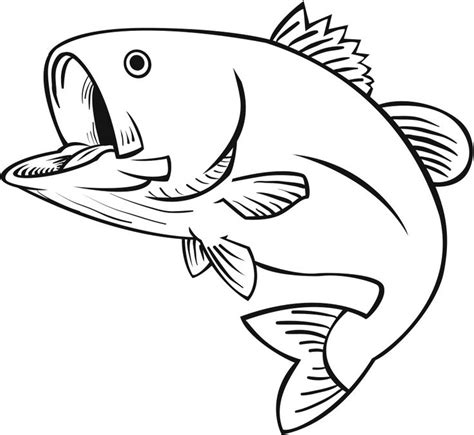 Pin by Deanna Perry on HTV Images | Fish coloring page, Fish drawings ...