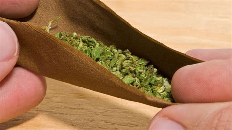 The 5 Best Hemp Wraps on the Market | Wikileaf