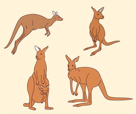 A set of kangaroo characters in various poses. 2175926 Vector Art at ...