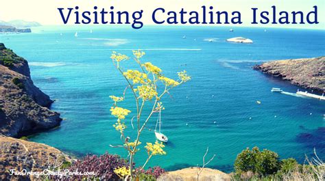 Visiting Catalina Island: A Brief Tutorial on the Basics