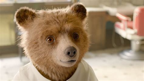 'Paddington 3': Release date, trailer, cast and everything we know ...