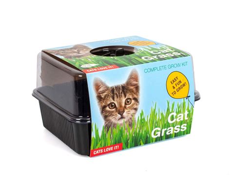 TotalGreen Holland Cat Grass Grow Kit | Grow Your Own Pet Grass from ...