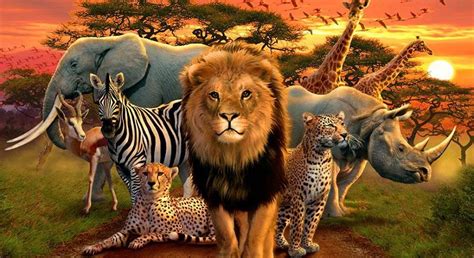 African Animals List, Facts, Conservation Status, Pictures