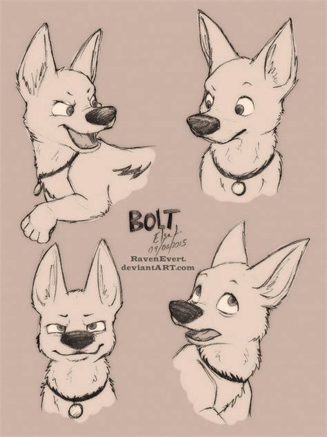 Bolt - Sketches and Expressions by RavenEvert on DeviantArt