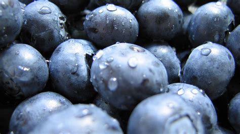 Blueberry Wallpapers - Wallpaper Cave