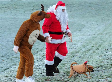 Photos: Santa sightings across the globe | KOMO