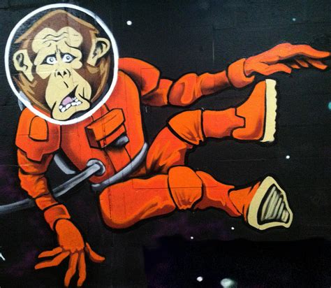 Space Monkey by Qi-Li on DeviantArt