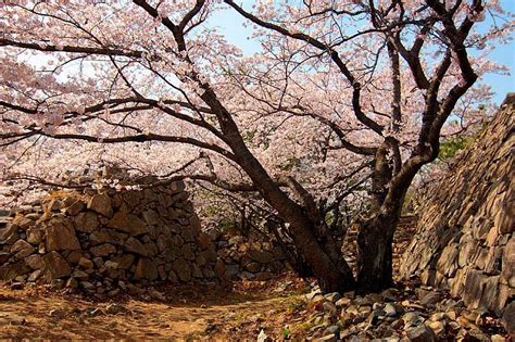 THE 15 BEST Things to Do in Ulsan - 2022 (with Photos) - Tripadvisor