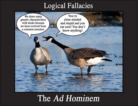 ad hominem | Logical fallacies, Ad hominem, Fallacy examples