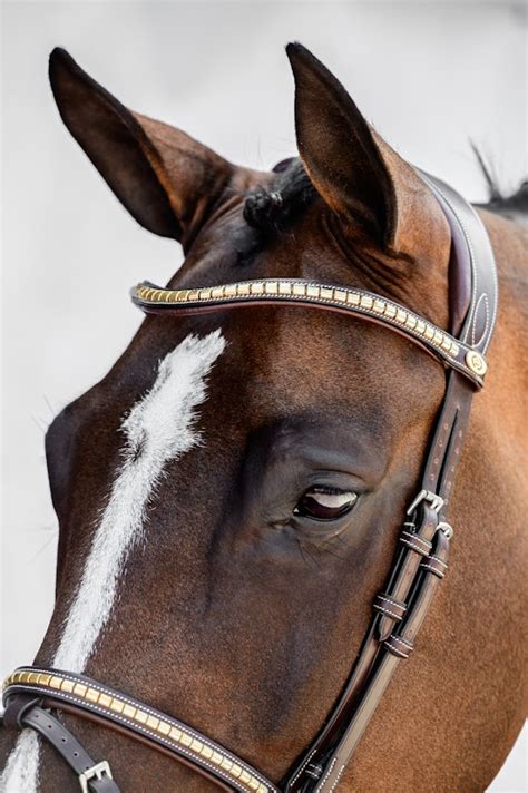 Browband Gold Clincher • PS of Sweden