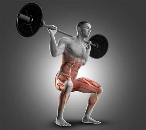 The 12 Best Squat Variations for Hypertrophy and Strength – Fitness Volt