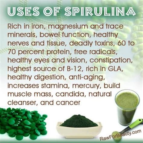 Spirulina contains a high amount of protein vitamins and minerals and ...