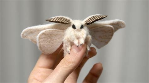 Giant Fluffy Moth