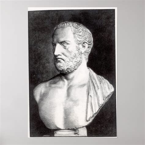 Bust of Thucydides , engraved by Barbant Poster | Zazzle.com