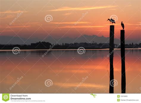 Fraser River, Coast Mountains, Sunrise Stock Image - Image of water ...