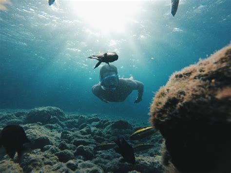 Snorkeling Spots in Los Cabos | Snorkeling, Los cabos, Cabo